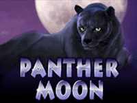 Игровые автоматы Panther Moon