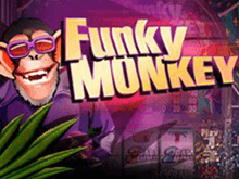 Игровой автомат Funky Monkey - играй без регистрации