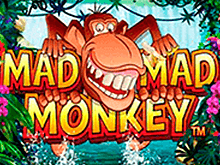 Игровой автомат Mad Mad Monkey - выиграй джекпот онлайн