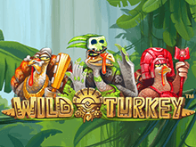 Игровой онлайн-автомат Wild Turkey