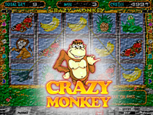 Crazy Monkey